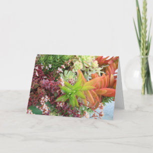 Succulent bouquet card kort