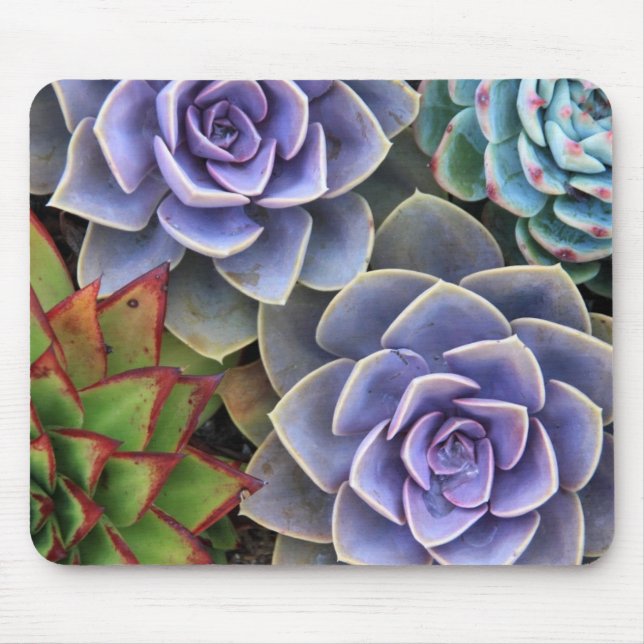 Succulent Bouquet Mouse Pad Musmatta (Framsidan)