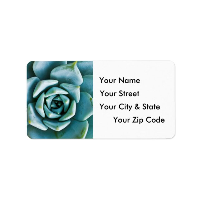 Succulent Closeup Adressetikett (Framsidan)