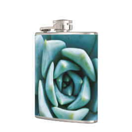 Succulent Closeup Fickplunta