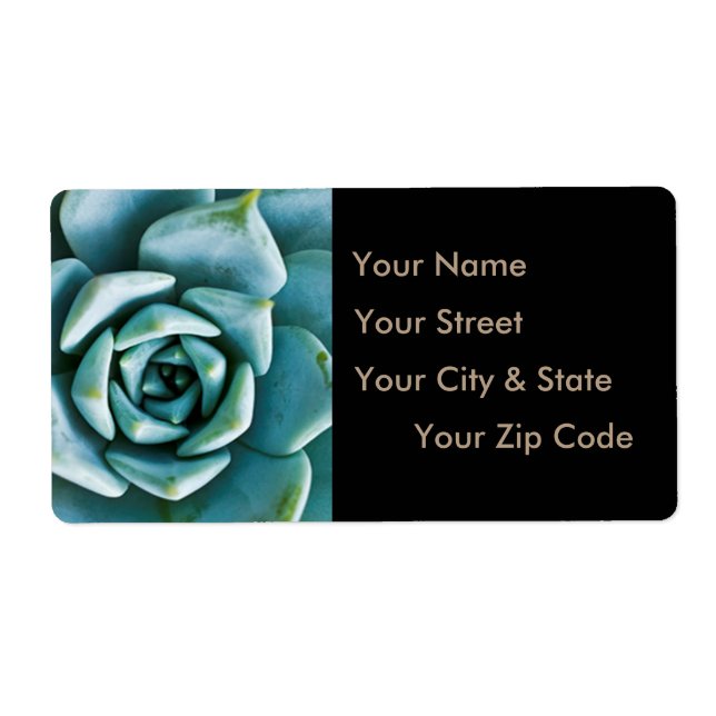 Succulent Closeup Fraktsedel (Framsidan)