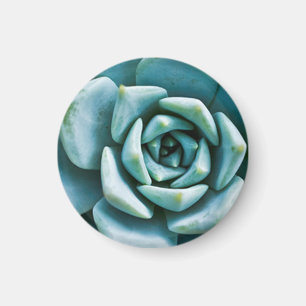 Succulent Closeup Magnet