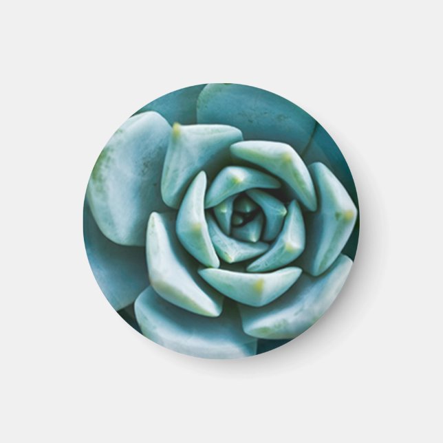 Succulent Closeup Magnet (Framsidan)