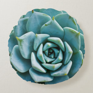Succulent Closeup Rund Kudde