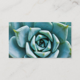 Succulent Closeup Visitkort