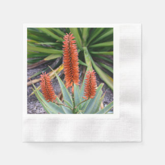 Succulent Cocktail Napkins Pappersservett