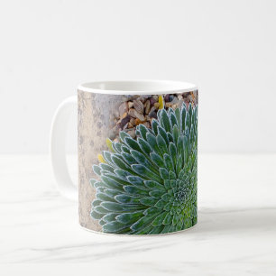 Succulent Desert Plant Kaffemugg
