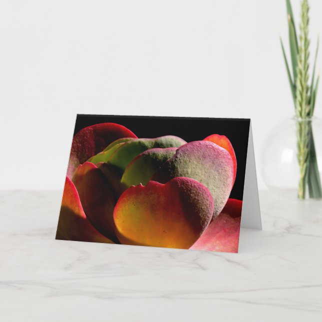 Succulent Desert Plant Kort (Framsida)