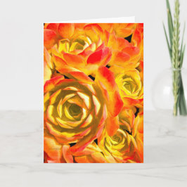 Succulent Echeveria Plant Kort