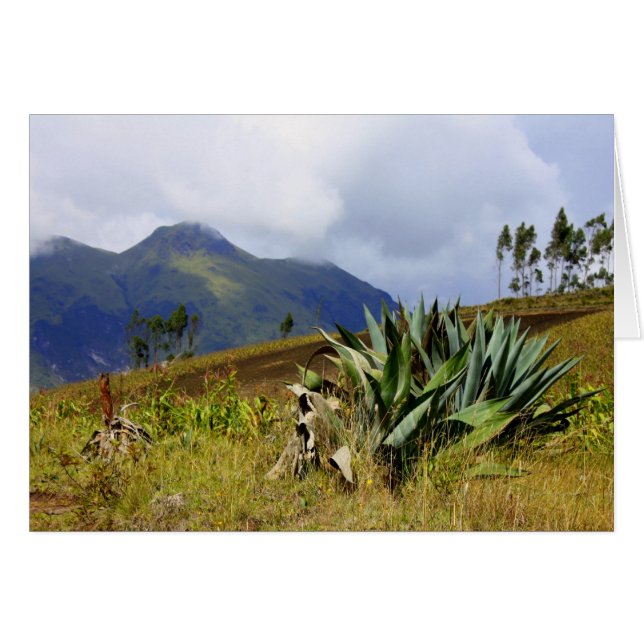 Succulent Ecuador Hälsningskort (Framsidan Horizontal)