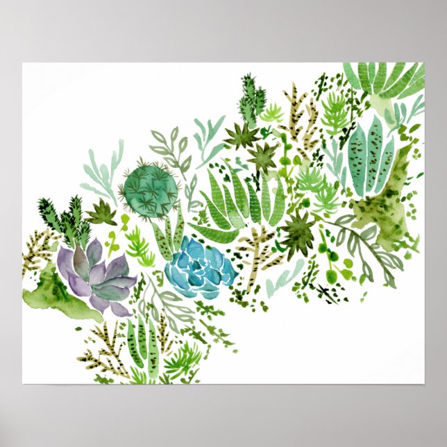 Succulent Fält I Poster (Framsidan)