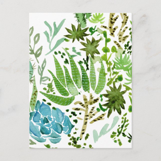 Succulent Fält I Vykort (Framsida)