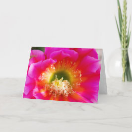 Succulent Flower Makro Kort