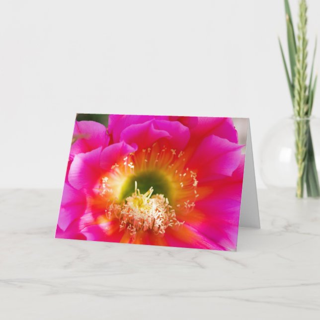 Succulent Flower Makro Kort (Framsida)