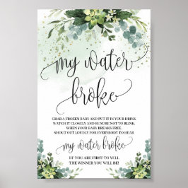 Succulent My vatten fattig bord Poster