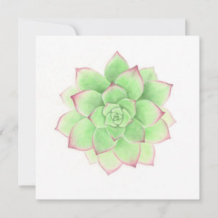 Succulent - Original Artwork by Meghann Russell Julkort