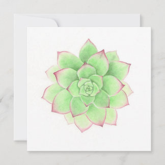 Succulent - Original Artwork by Meghann Russell Julkort