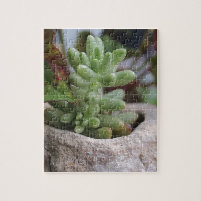 Succulent Plant och Chameleon Plant Pussel (Vertikal)