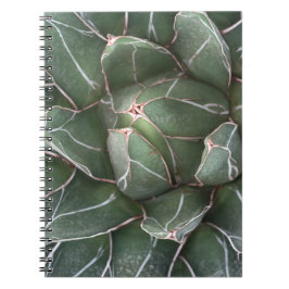Succulent Plant Photo Notebook (80 sidor per sekun Anteckningsbok