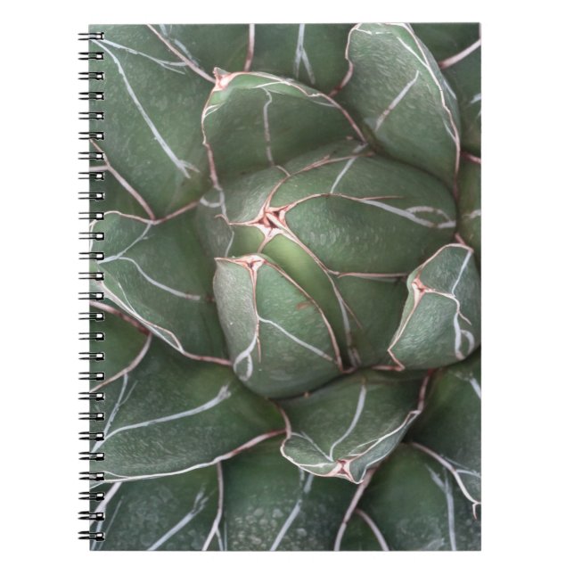 Succulent Plant Photo Notebook (80 sidor per sekun Anteckningsbok (Framsidan)