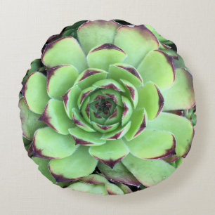 Succulent Plant Struktur Photo Rund Kudde