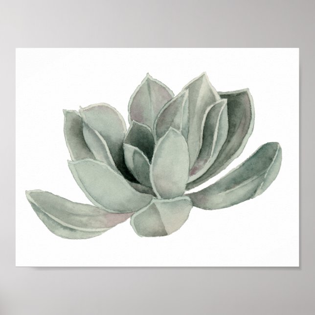 Succulent Plant Watercolor Painting Poster (Framsidan)