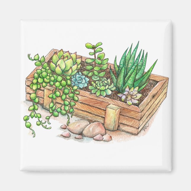 Succulent Planter Box Magnet (Framsidan)