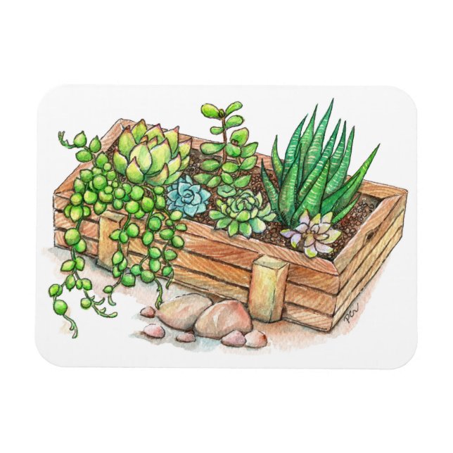 Succulent Planter Box Magnet (Horisontell)