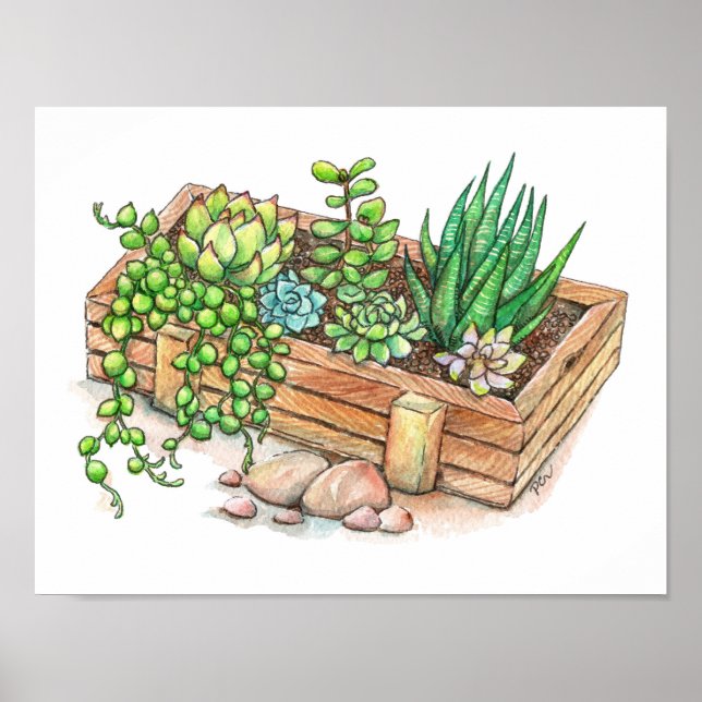 Succulent Planter Box Poster (Framsidan)