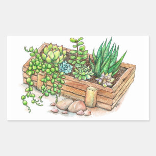 Succulent Planter Box Rektangulärt Klistermärke
