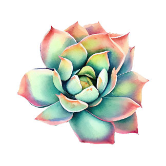 Succulent Sticker Runt Klistermärke