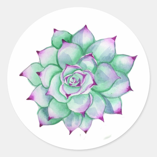Succulent Stickers Runt Klistermärke (Framsida)