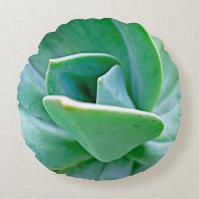 Succulent Swirl Rund Kudde (Framsidan)
