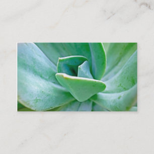 Succulent Swirl Visitkort