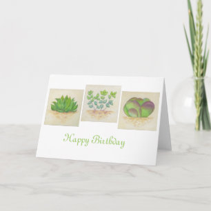 Succulent Trio-födelsedagskort Kort