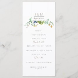 Succulent Watercolor | Inledande | Program