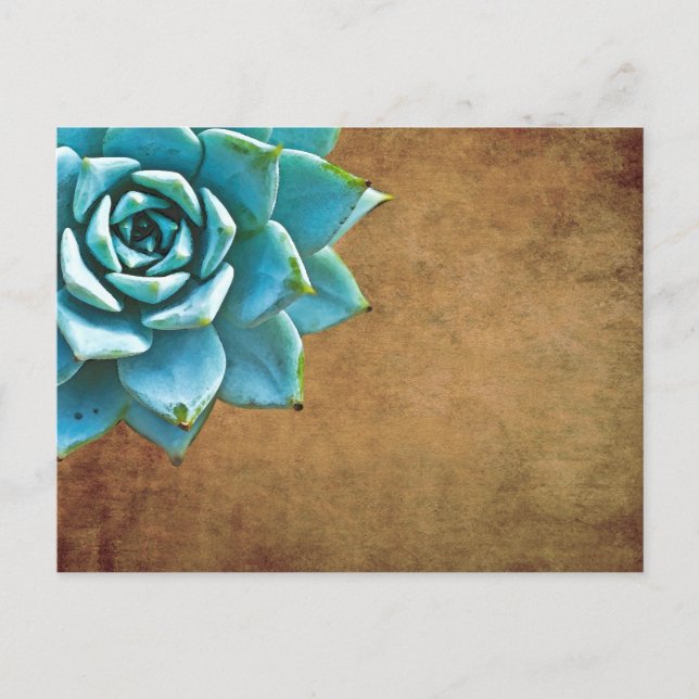 Succulent Watercolor Rustic Brown Vykort (Framsida)
