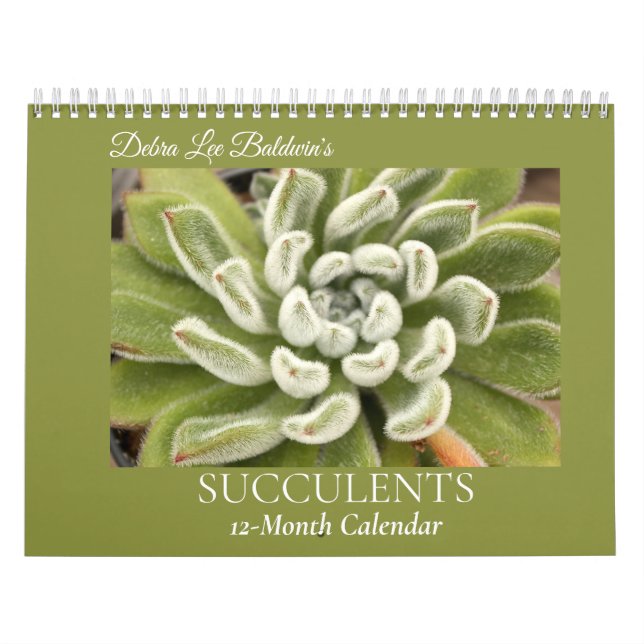 Succulents by Debra Lee Baldwin #4 Kalender (Omslag)