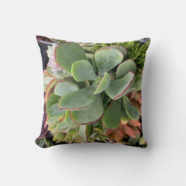 Succulents Dekorativ kudde (Framsida)