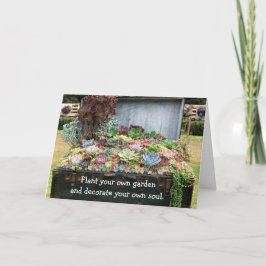 Succulents in Treasure Chest Kort