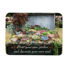 Succulents in Treasure Chest Magnet