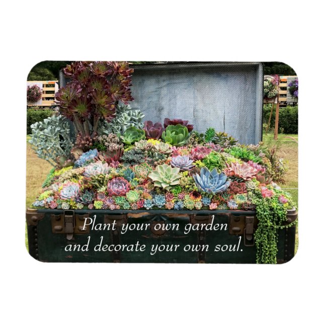 Succulents in Treasure Chest Magnet (Horisontell)