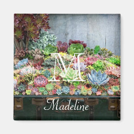 Succulents in Treasure Chest Magnet