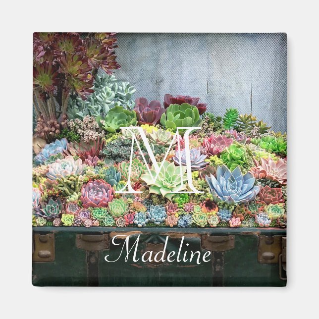 Succulents in Treasure Chest Magnet (Framsidan)