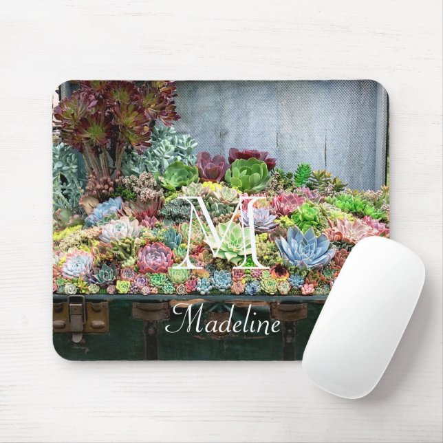 Succulents in Treasure Chest Musmatta (Med mus)