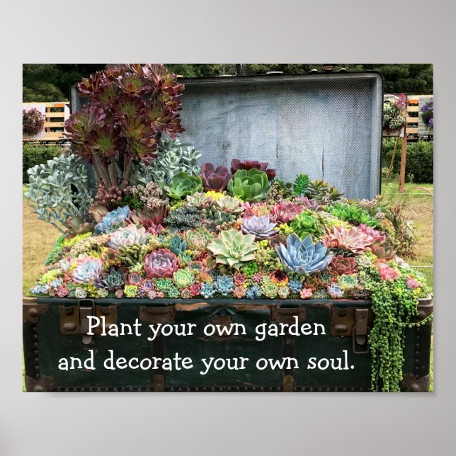 Succulents in Treasure Chest Poster (Framsidan)
