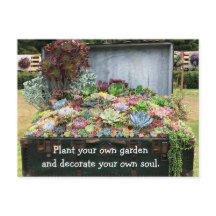 Succulents in Treasure Chest