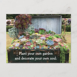 Succulents in Treasure Chest Vykort