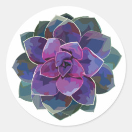 Succulents Sticker Runt Klistermärke