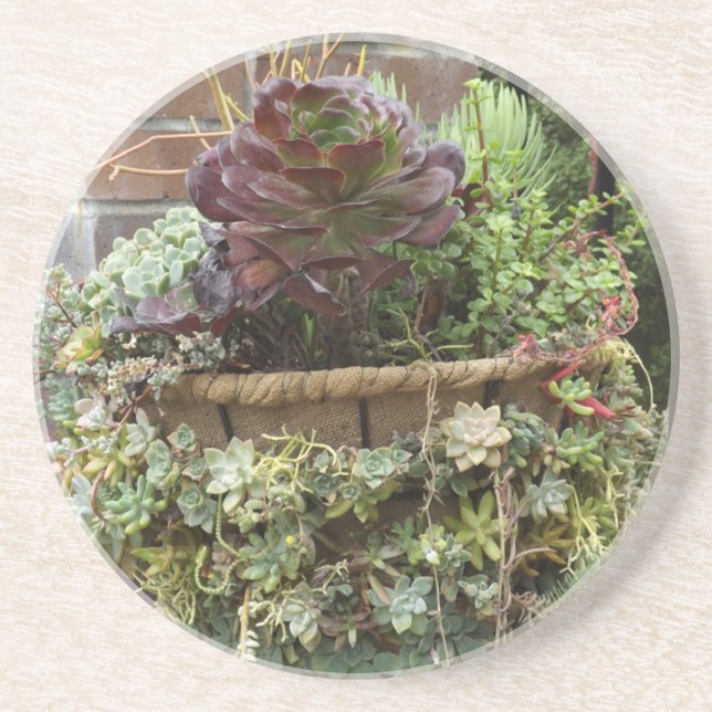 Succulents Underläggs Underlägg (Framsidan)